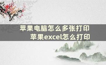 苹果电脑怎么多张打印 苹果excel怎么打印